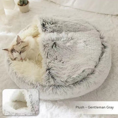 Hair Gray