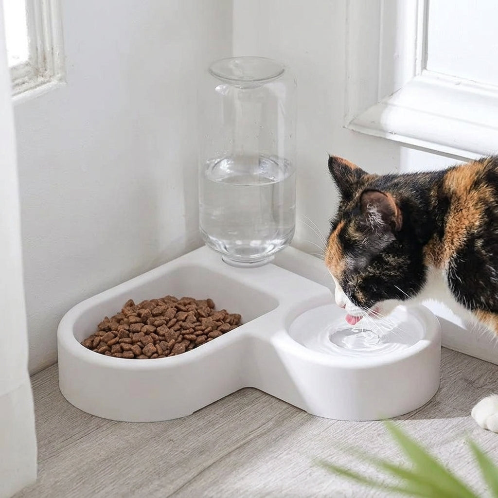 Automatic Drinking Pet Bowl