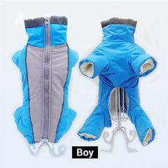 Boy Blue