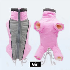 Girl Pink