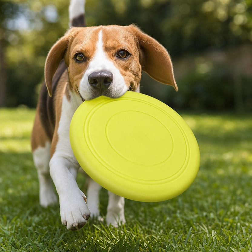 7 Colors Silicone Flying Saucer Dog Toy lifestyle