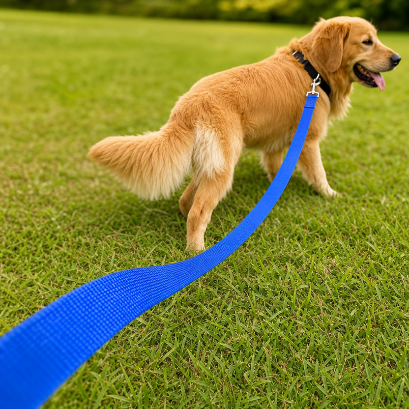 Nylon Dog Training Leash lifestyle