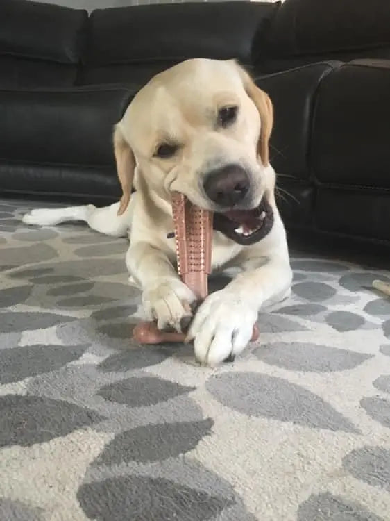 Durable Dog Dental Chew Toy - Oral Care Toy for Teething Puppies