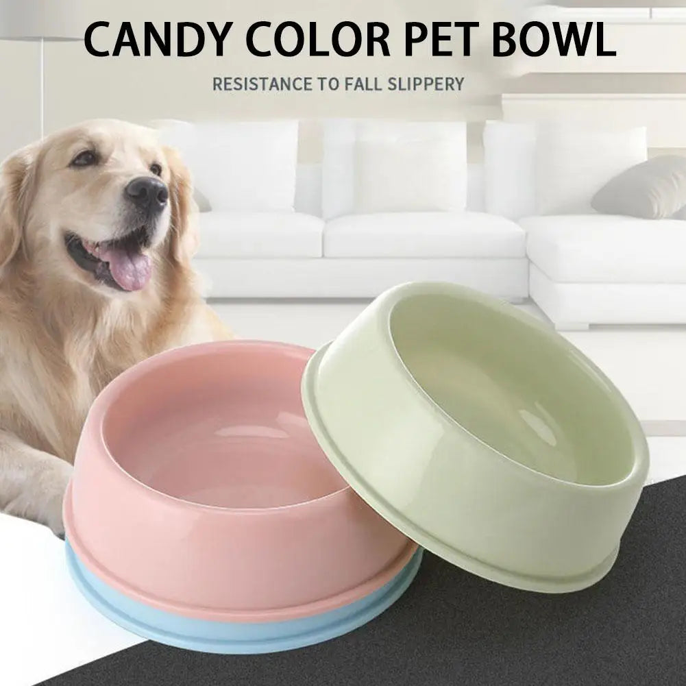 Multi-Function Pet Bowl - Candy Colour Feeder for Puppies and Cats