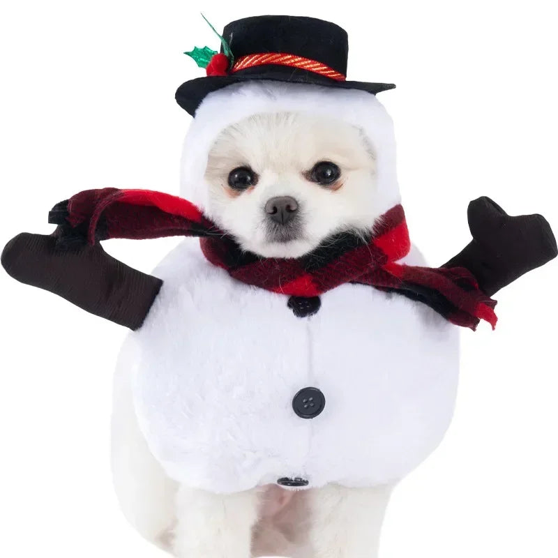 Halloween Pet Costume - Funny Standing Dress-Up Outfit for Dogs and Cats