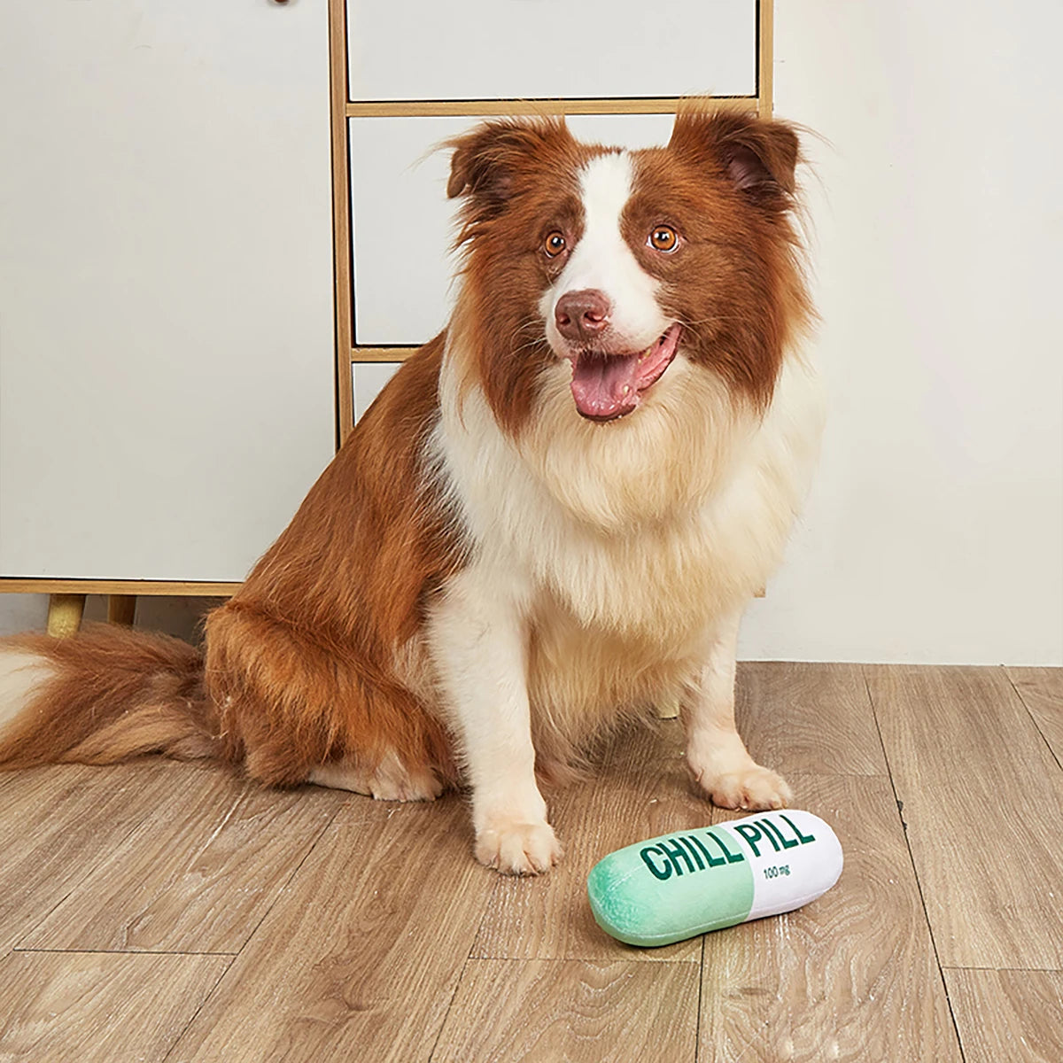 Plush Squeaky Dog Toy - Pill Shape Interactive Chew for Dental Play