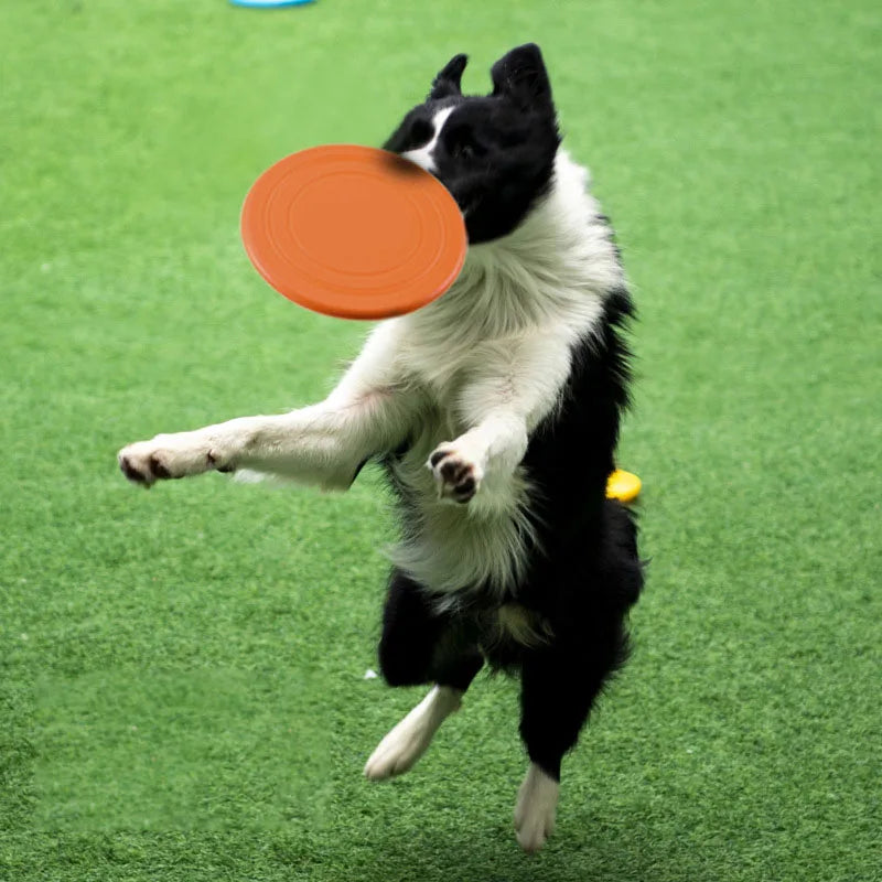 Silicone Dog Frisbee - Soft, Foldable Flying Disc for Fetch