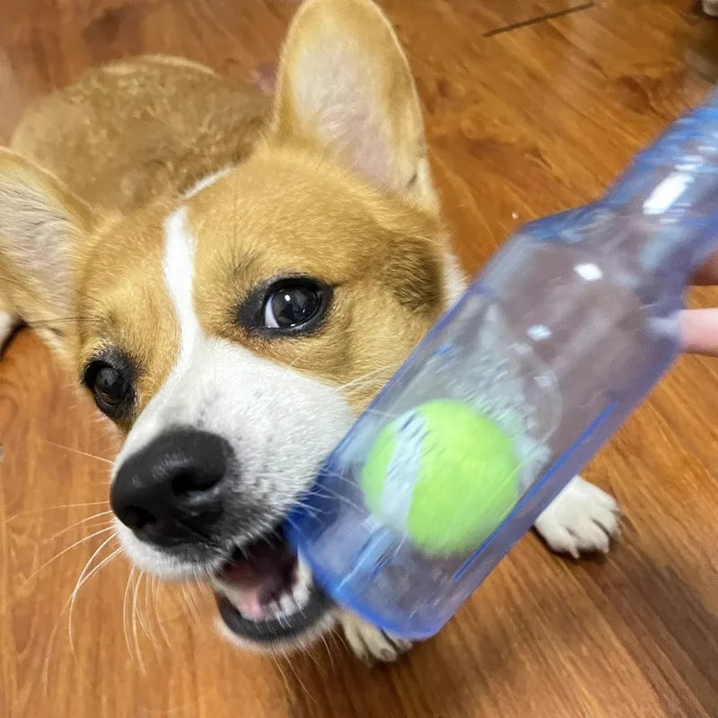 Beer Bottle Dog Toy with Tennis Ball - TPR Squeaky Chew