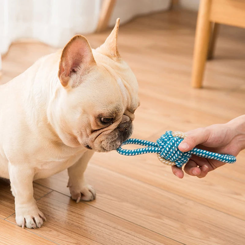 Cotton Rope Dog Ball - Dental Chew and Tug Toy for Puppies and Dogs
