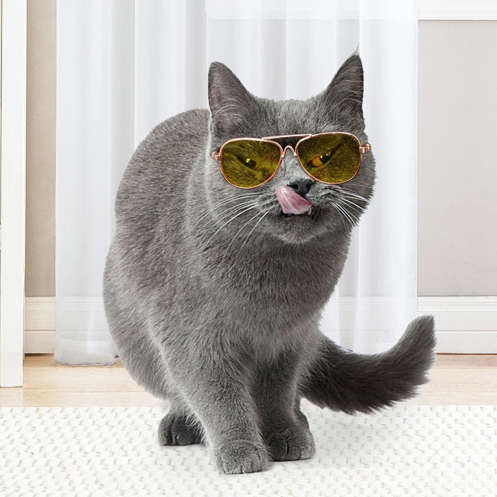 Cat Sunglasses - Colored Lens Photo Props for Cats and Small Dogs