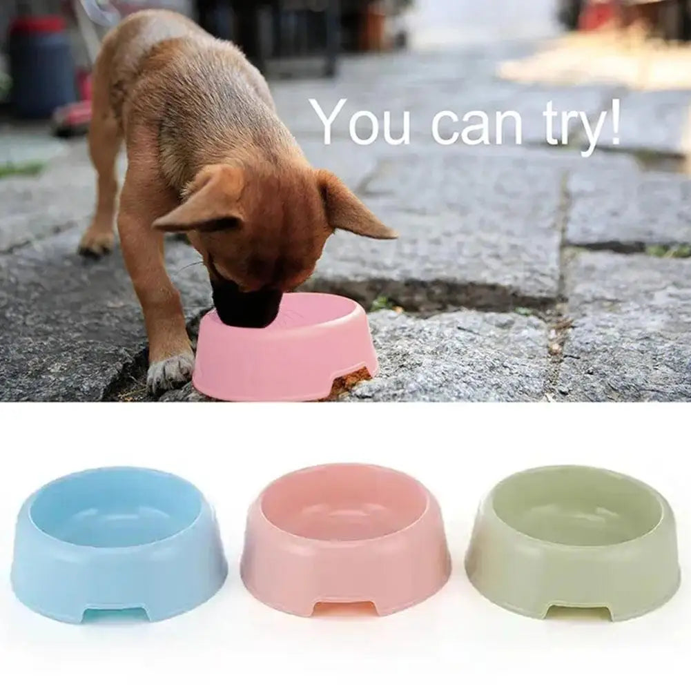 Multi-Function Pet Bowl - Candy Colour Feeder for Puppies and Cats