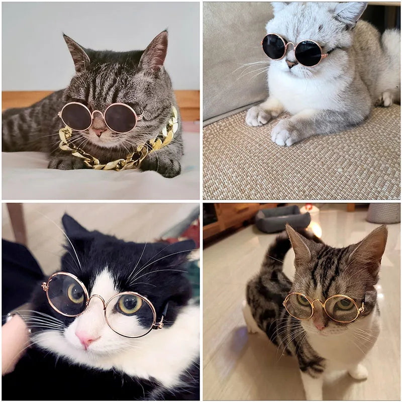 Pearl Pet Sunglasses - Luxury Photo Prop Eyewear for Cats and Dogs