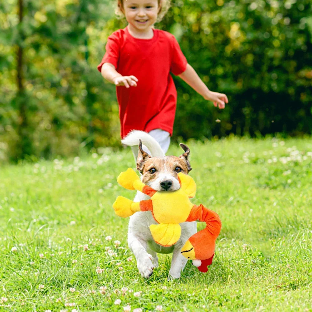 Screaming Chicken Dog Toy - Loud Squeaky Interactive Chew