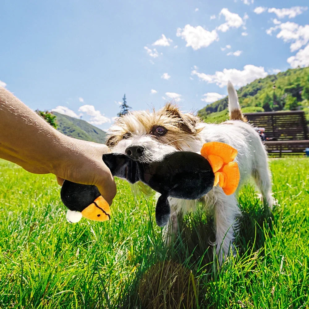 Screaming Chicken Dog Toy - Loud Squeaky Interactive Chew
