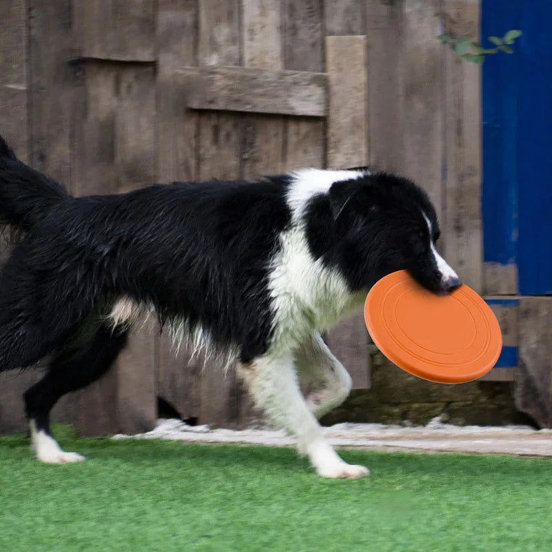 Silicone Dog Frisbee - Soft, Foldable Flying Disc for Fetch