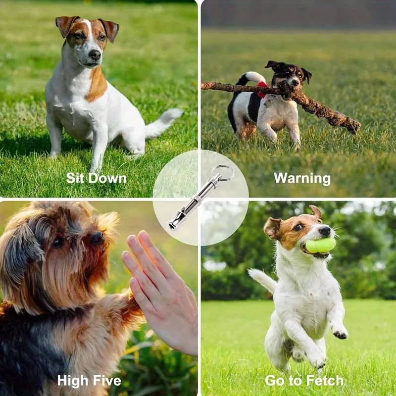 Adjustable Dog Whistle for Recall and Barking - With Keychain