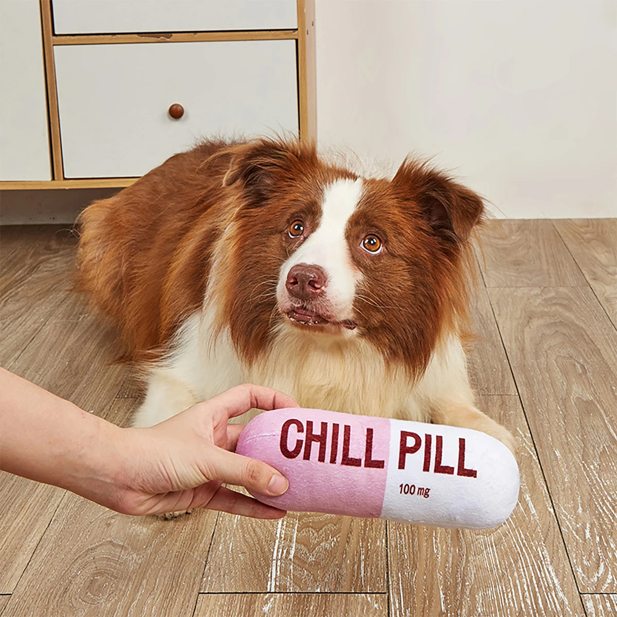 Plush Squeaky Dog Toy - Pill Shape Interactive Chew for Dental Play