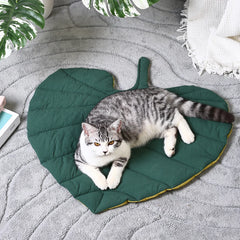 Love Leaves