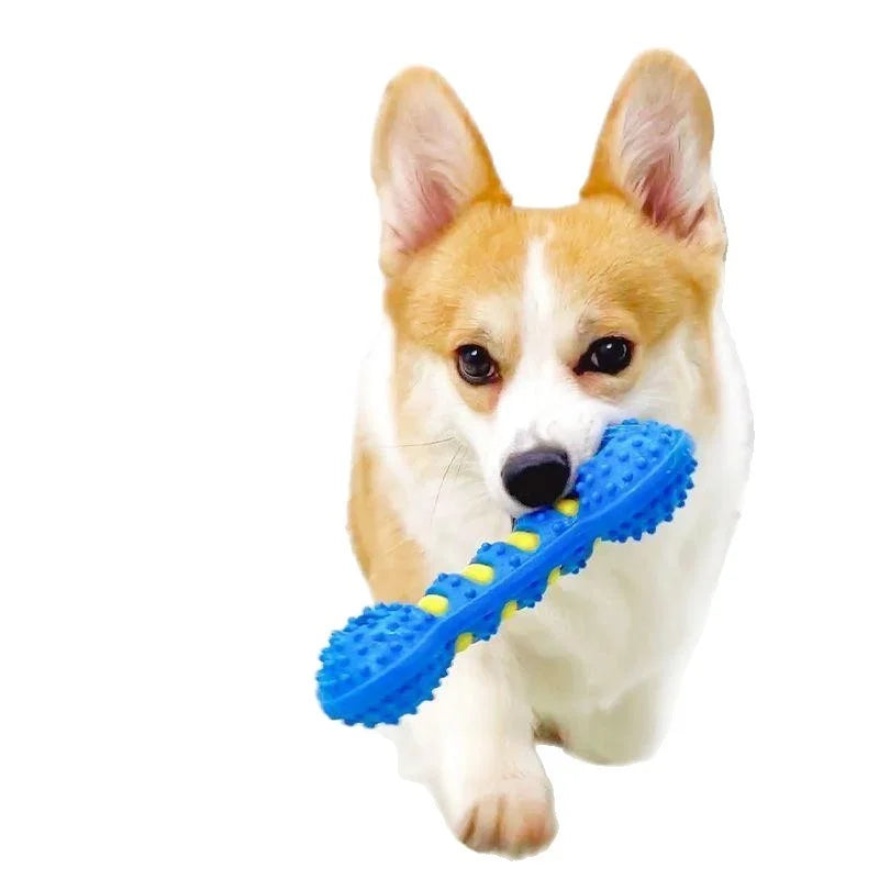 Rubber Dog Chew Stick - Dental Molar Bone Toy for Puppies