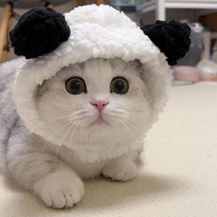 Black and White