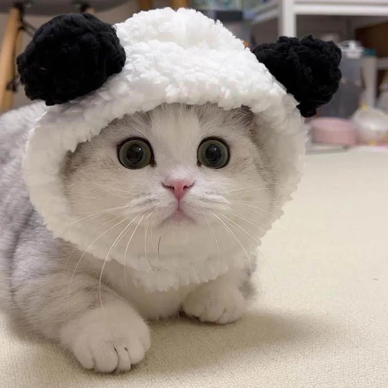 Pet Costume Hat with Animal Ears - Lion and Rabbit Dress-Up Headwear