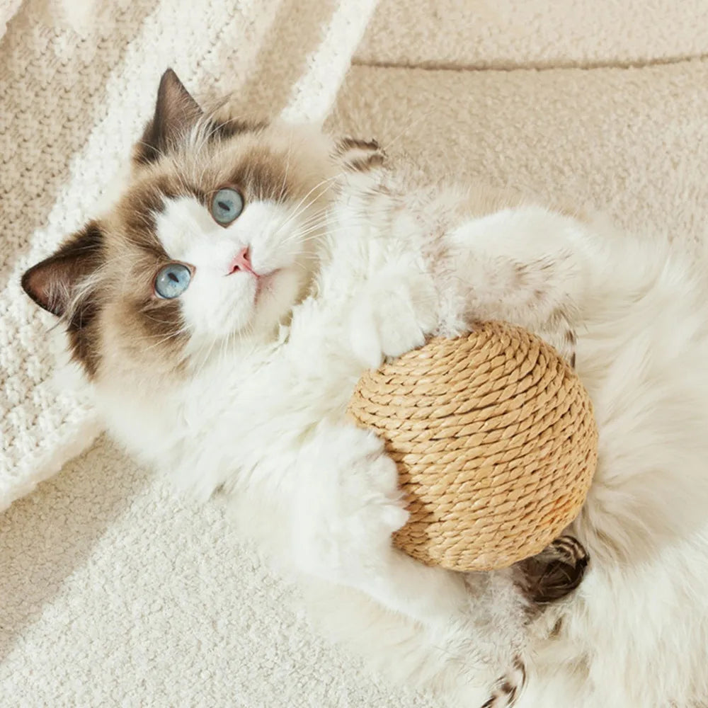 Large Sisal Cat Scratching Ball 10cm - Oversized Claw and Bite Toy