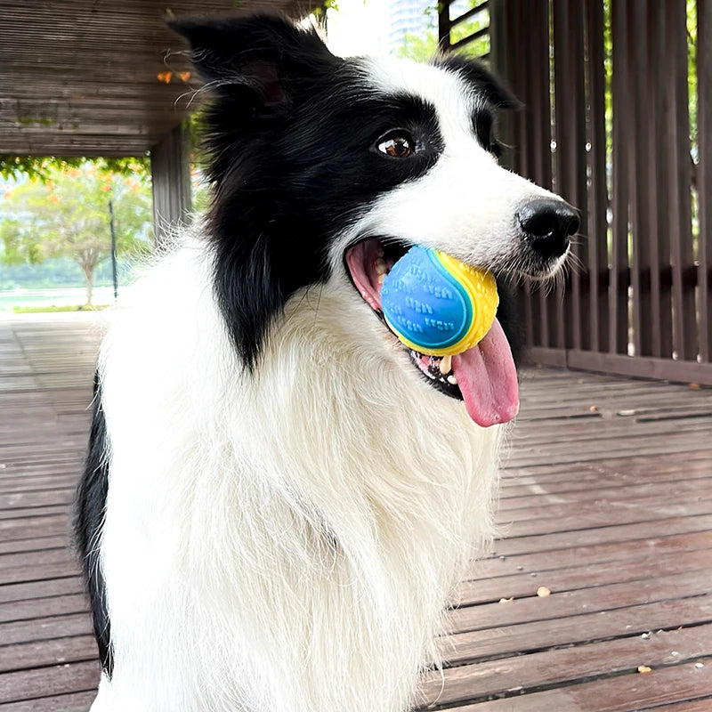 Soft TPR Dog Ball - Squeaky Bite-Resistant Dental Chew Toy