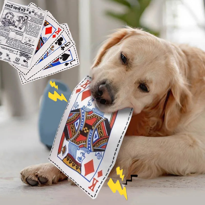 Newspaper Dog Toy with Crinkle and Squeaker - Interactive Chew