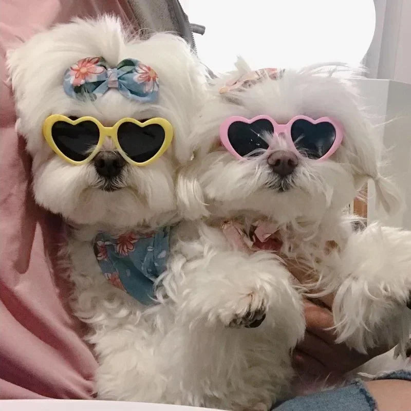Heart-Shaped Pet Sunglasses - Photo Accessory for Dogs and Cats