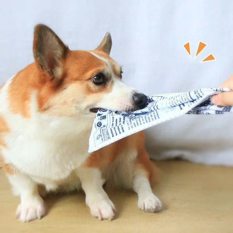 Newspaper Dog Toy with Crinkle and Squeaker - Interactive Chew