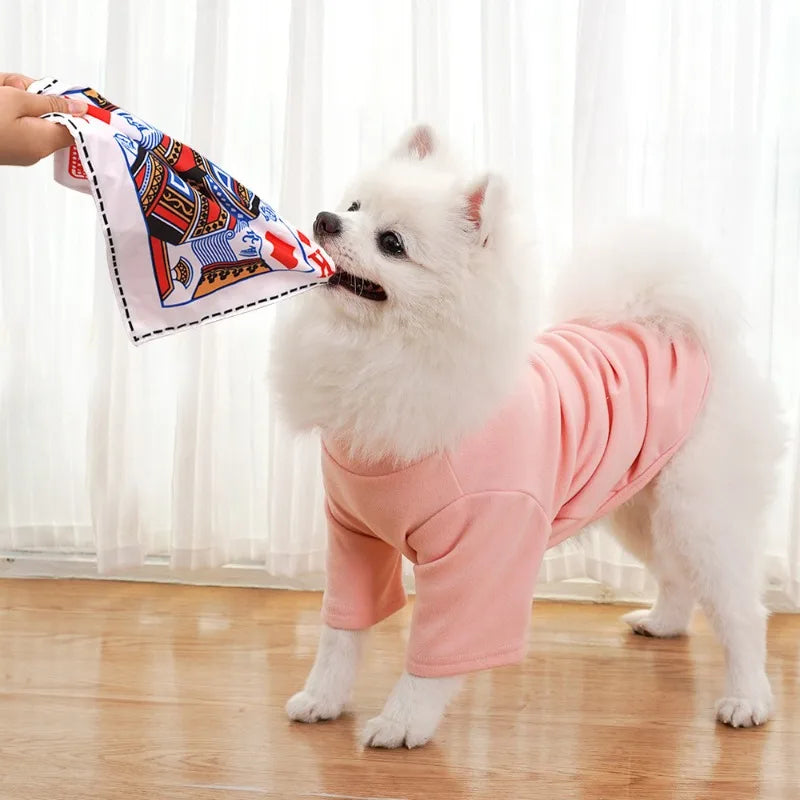 Newspaper Dog Toy with Crinkle and Squeaker - Interactive Chew