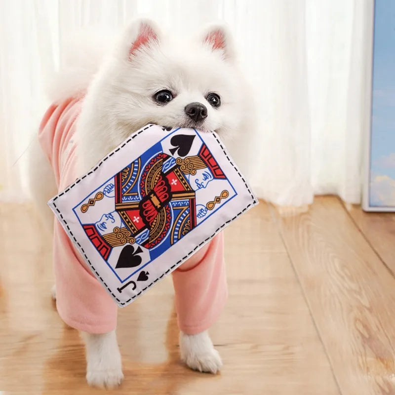 Newspaper Dog Toy with Crinkle and Squeaker - Interactive Chew