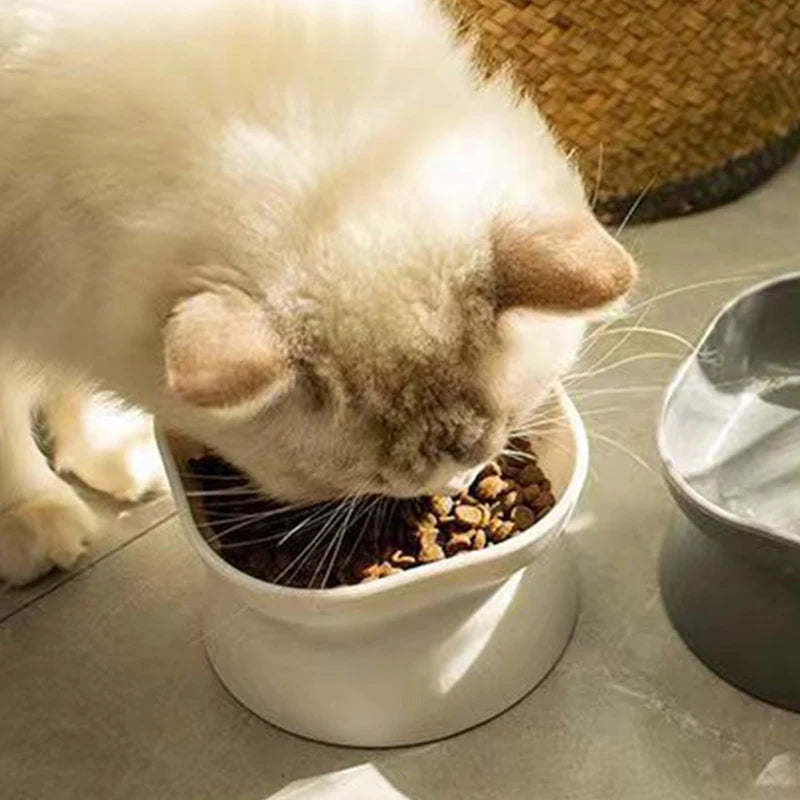 Elevated Anti-Vomit Cat Bowl - Tilted Whisker-Friendly Feeder
