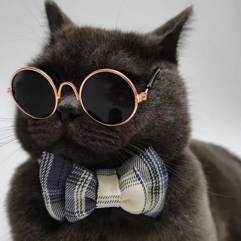 Pearl Pet Sunglasses - Luxury Photo Prop Eyewear for Cats and Dogs