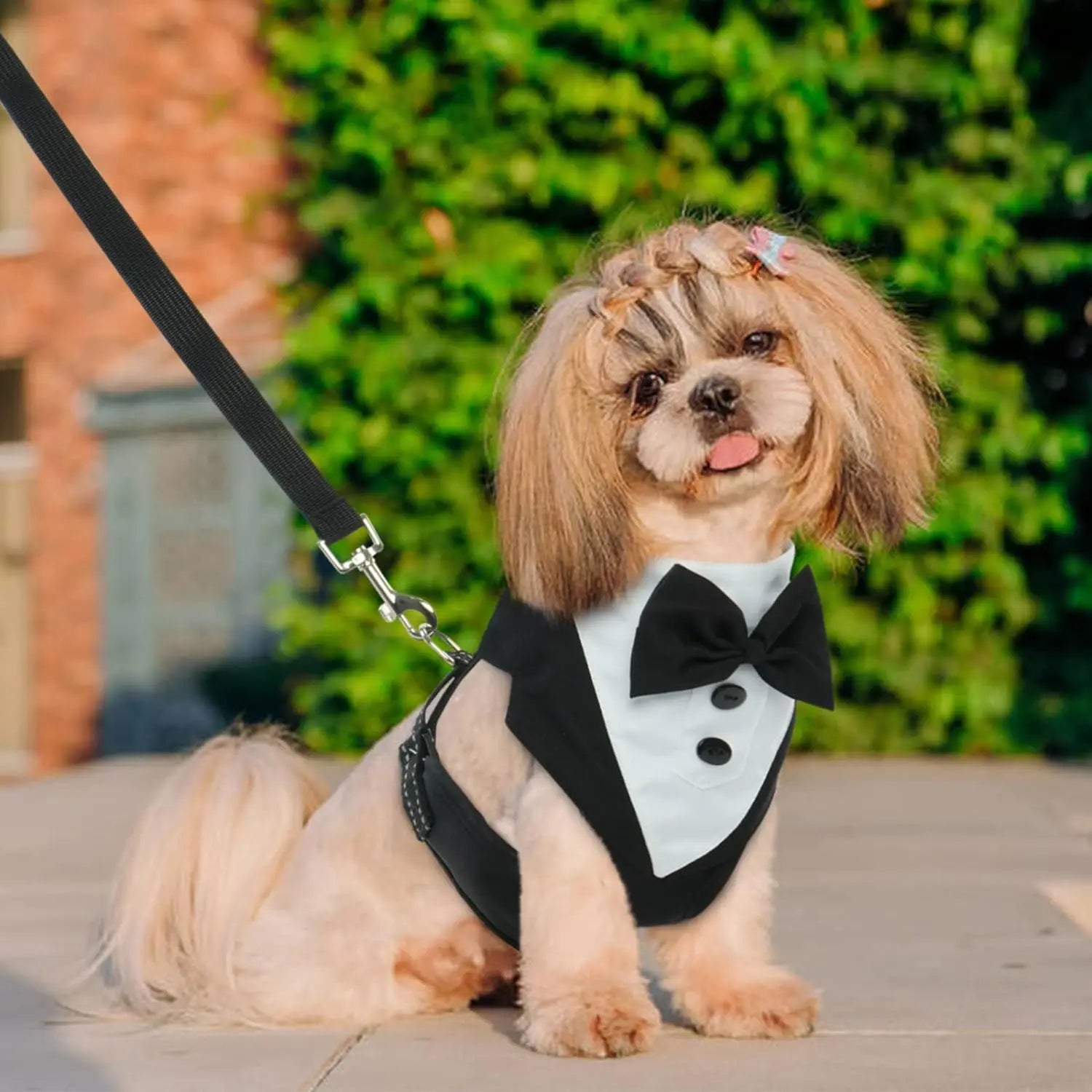Dog Tuxedo Harness with Bow Tie - Adjustable Wedding Vest