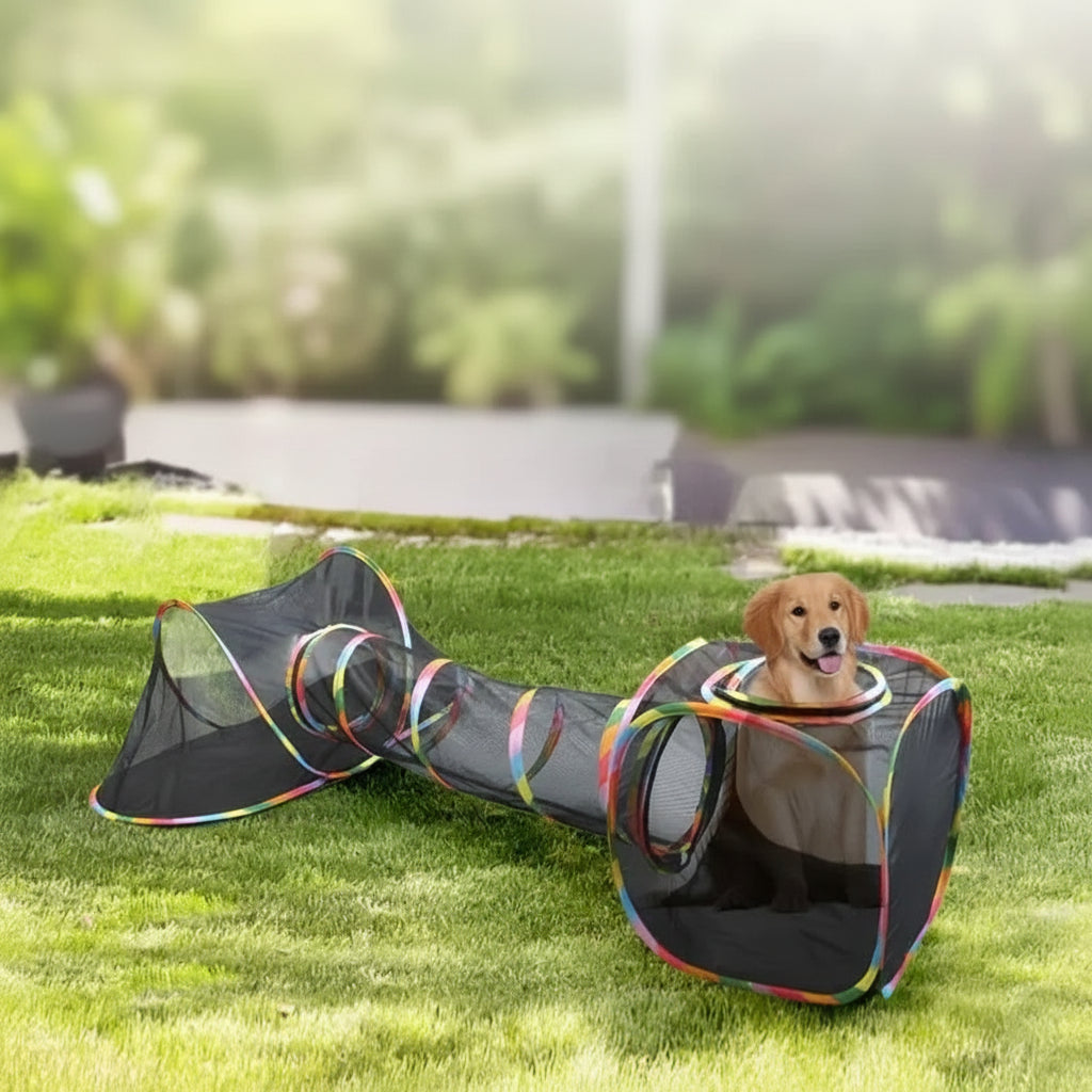 Modular Cat Tunnel Playpen - Collapsible Tents and Cubes with Ball