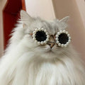 Pearl Pet Sunglasses - Luxury Photo Prop Eyewear for Cats and Dogs