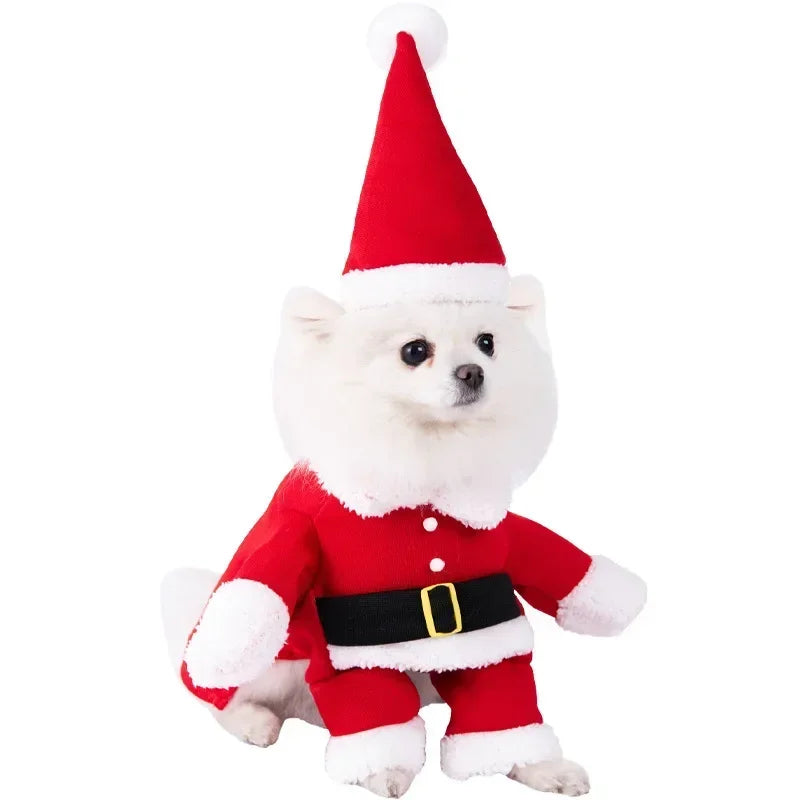 Halloween Pet Costume - Funny Standing Dress-Up Outfit for Dogs and Cats