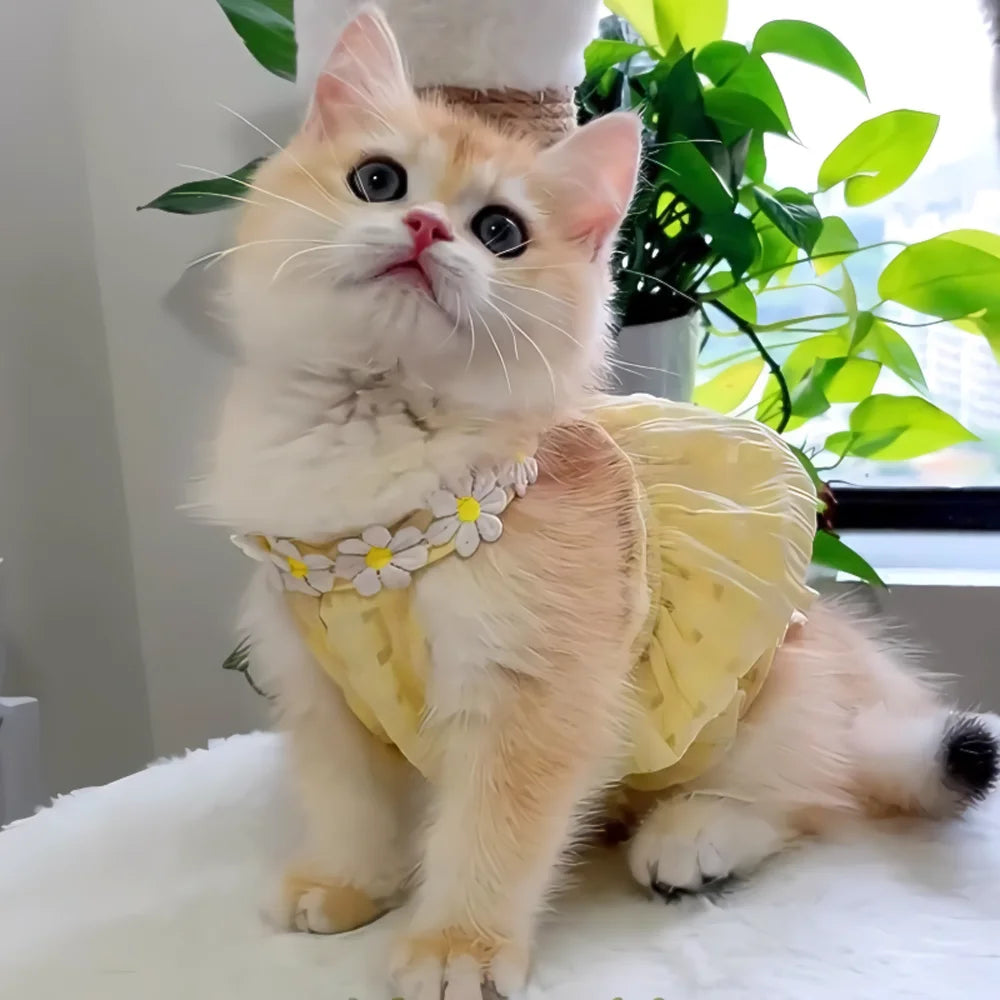Floral Pet Dress - Lightweight Summer Skirt for Cats and Small Dogs