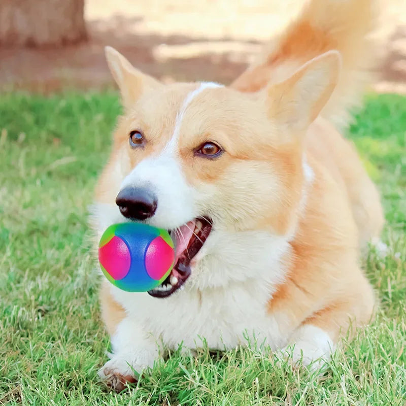 Glowing TPR Dog Ball - Light-Up Bouncy Fetch Toy for Evening Walks