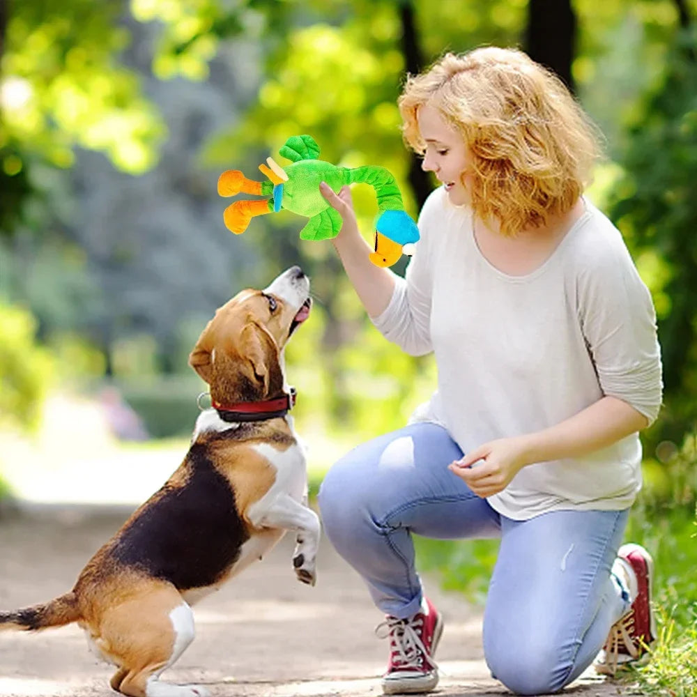 Screaming Chicken Dog Toy - Loud Squeaky Interactive Chew