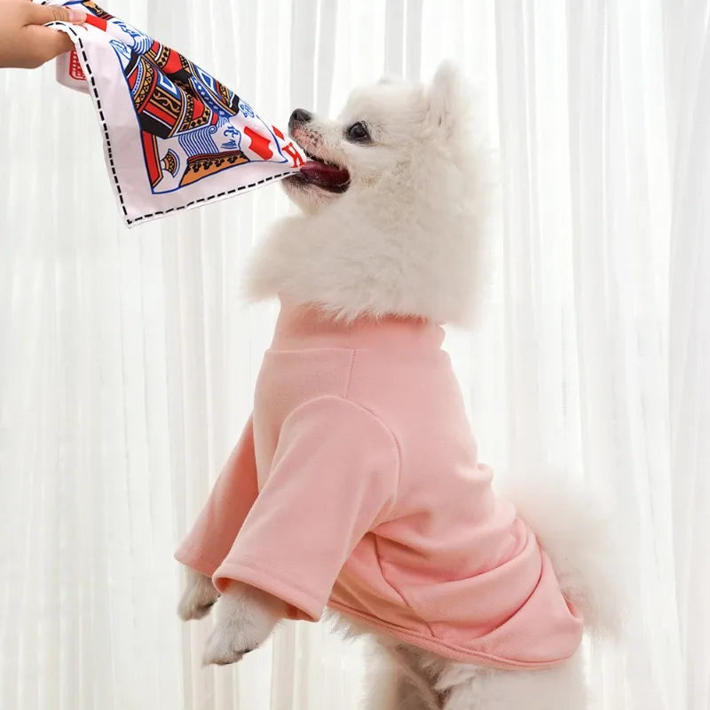 Newspaper Dog Toy with Crinkle and Squeaker - Interactive Chew