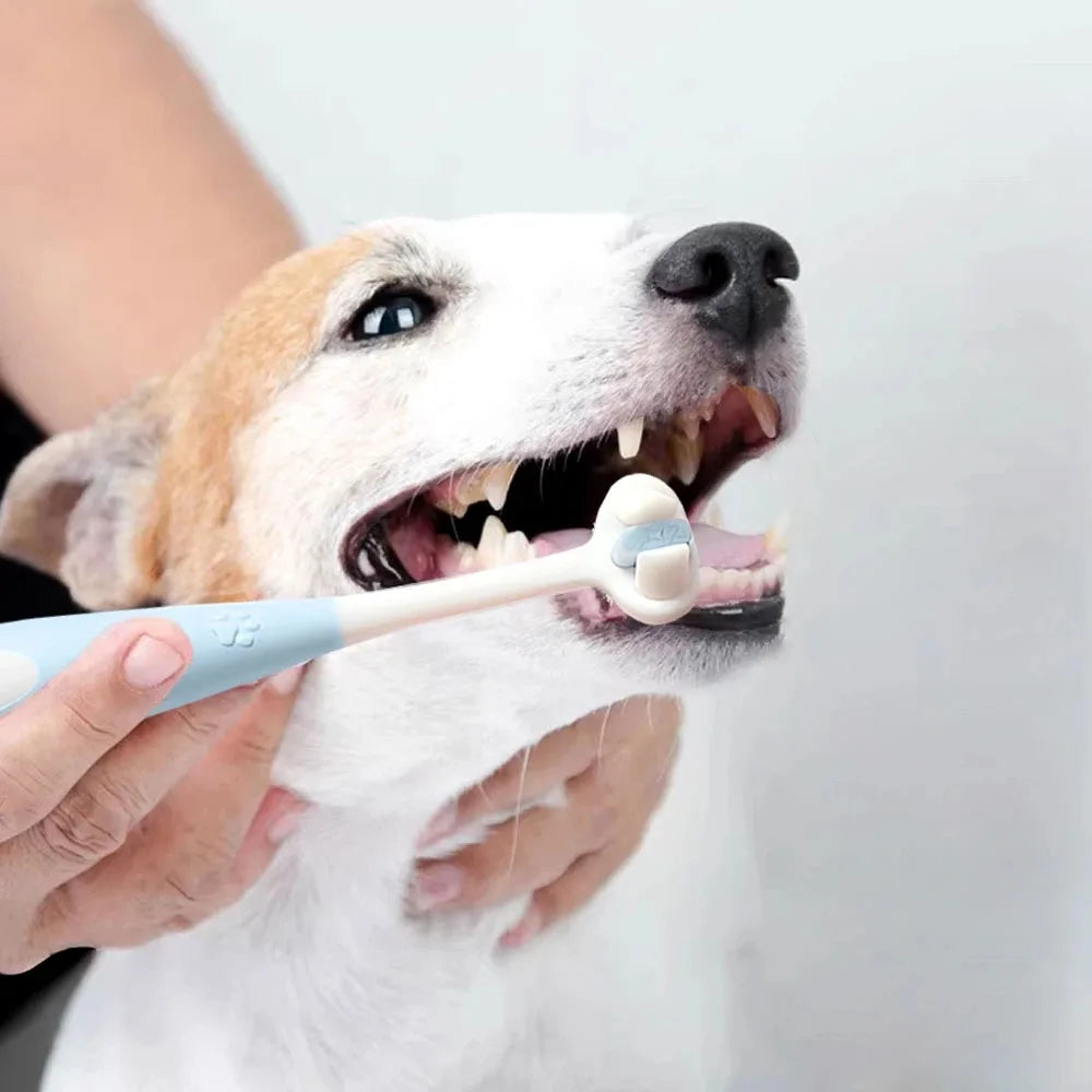 3-Sided Dog Toothbrush Set - 360 Degree Brush Head with Toothpaste