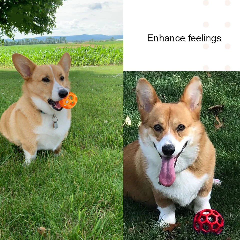Natural Rubber Dog Ball with Bell - Geometric Dental Chew Toy