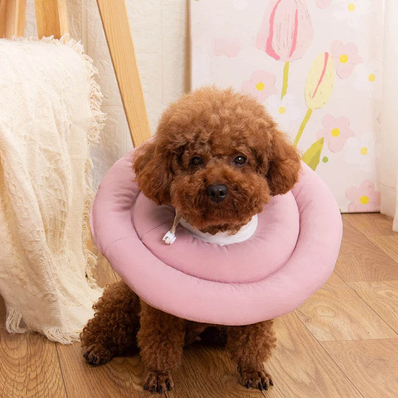 Donut Recovery Collar for Dogs - Soft Alternative to a Plastic Cone