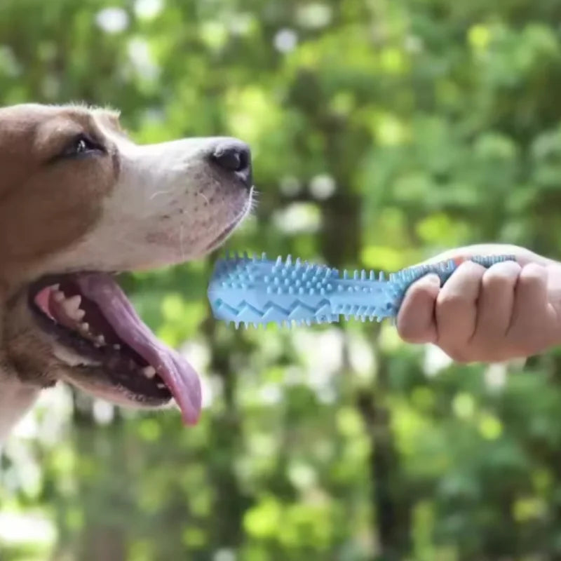 Dog Teething Stick - Treat Dispensing Chew Toy and Teeth Cleaner