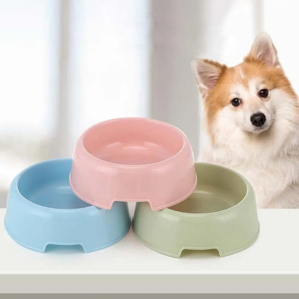 Multi-Function Pet Bowl - Candy Colour Feeder for Puppies and Cats