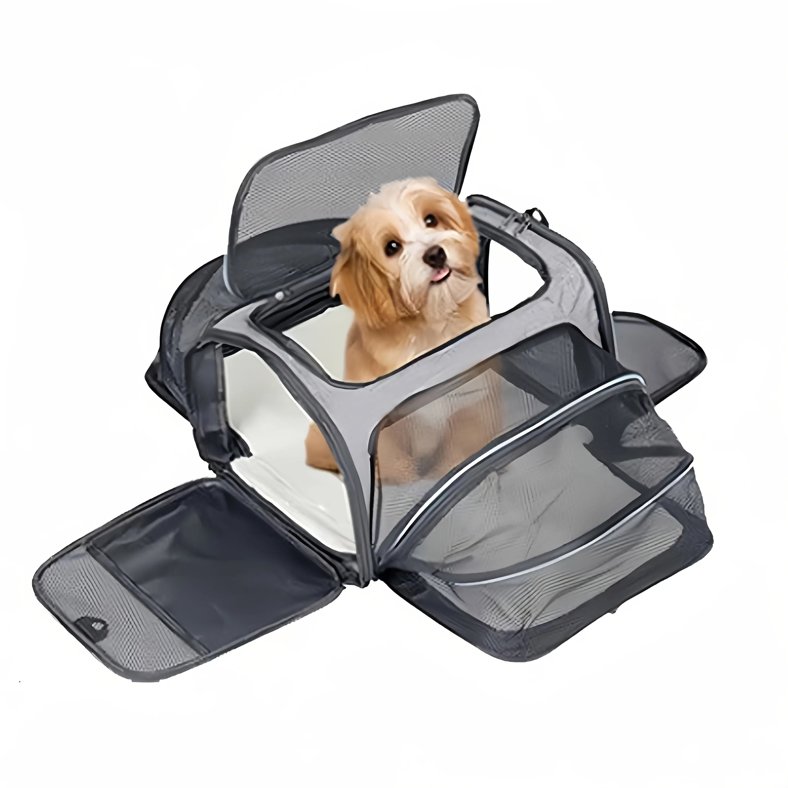 Expandable Pet Carrier Bag - Foldable Mesh Travel Tote for Cats