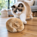 Rabbit Fur Cat Toy Ball lifestyle