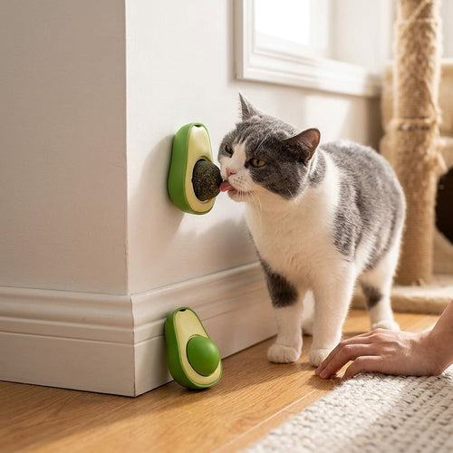 Avocado Catnip Cat Chew Toy lifestyle